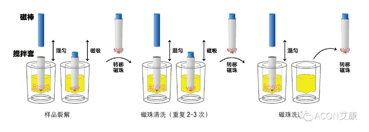 Promotor?核酸提純儀， 讓基因提純更便捷。